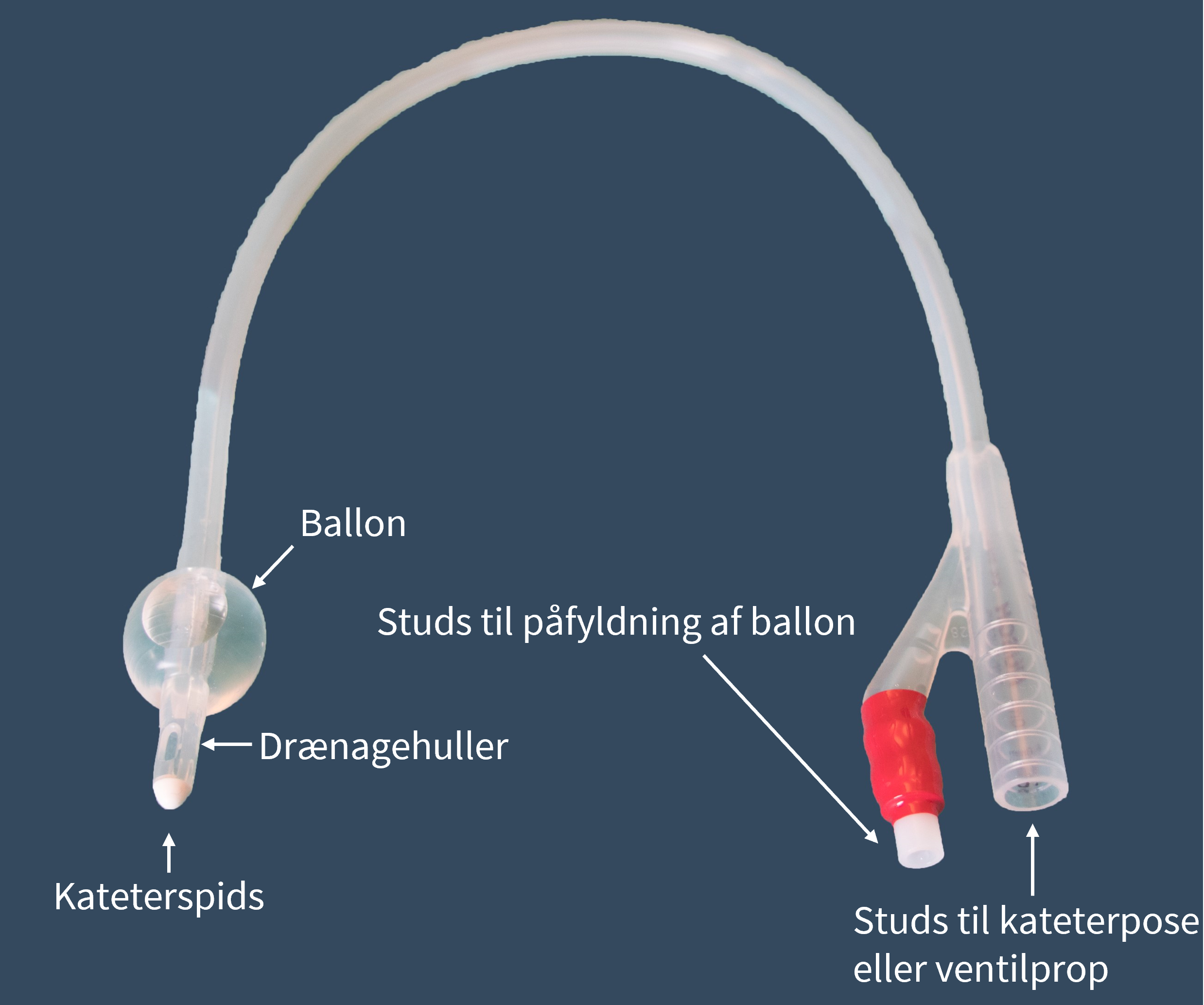 Ballonkateter med benævnelse af dele